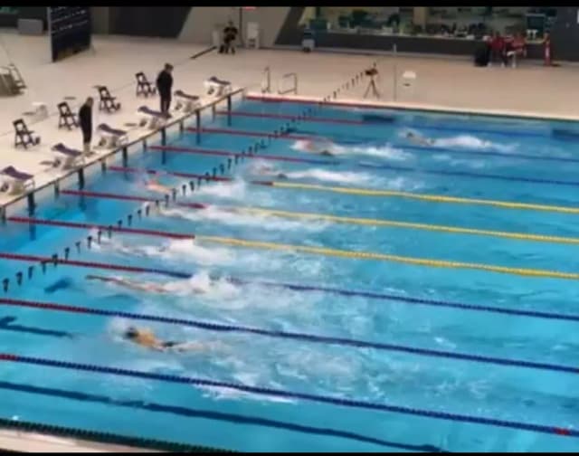 Competitive Swimmer photo 1